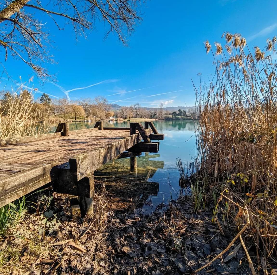 Studio Entre Lacs Et Montagnes Rumilly  Zewnętrze zdjęcie